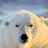 PolarSystem